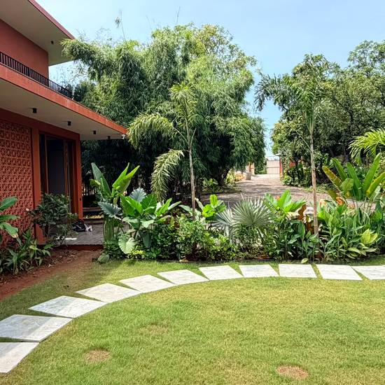 Jaali wall and planting by day