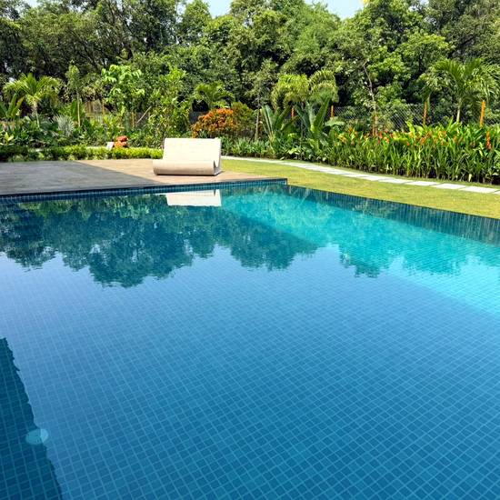 Poolside lounger